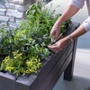 image:imageStep2 Lakewood Raised Planter Box Large Planters for Outdoor Plants Gardening and Flower Pot for Patio or Porch Easy Drainage Durable Plastic Dark CedarDark Cedar
