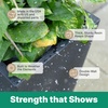 image:imageStep2 Tremont Tall Square Tapered Planter 28 in Resin Planter SelfWatering Dark CedarConcrete